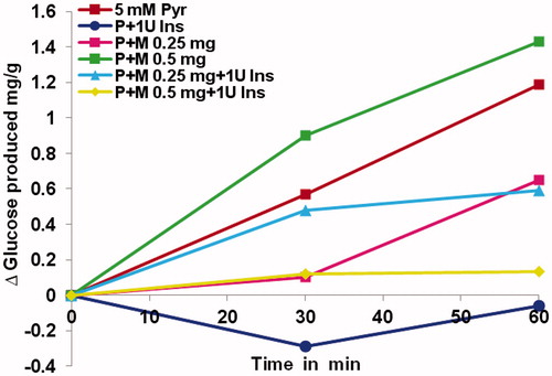 Figure 4. Inhibition of gluconeogenesis in rat liver by Mukia extract in the absence and presence of 1 Unit of insulin. Gluconeogenesis in rat liver was determined from pyruvate in the presence of 0.25 mg/ml and 0.5 mg/ml Mukia extract in the absence or presence of 1 U insulin preincubated with liver slices prior to determining gluconeogenesis from pyruvate (5 mM).
