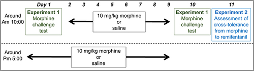 Figure 1 Timeline of the experimental schedule.