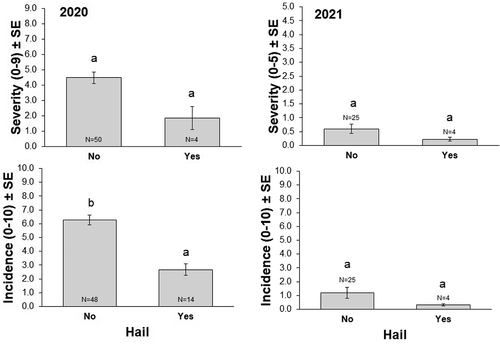 Fig. 3 Impact of hail on disease severity and incidence in 2020 and 2021. Within a panel, bars with the same letter are not significantly difference (Kruskal-Wallis, p ≤ 0.05).