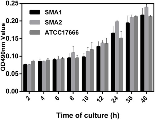 Figure 1 Average ODs at different time points (hours) of S. maltophilia strains. Results are expressed as means ± SDs.