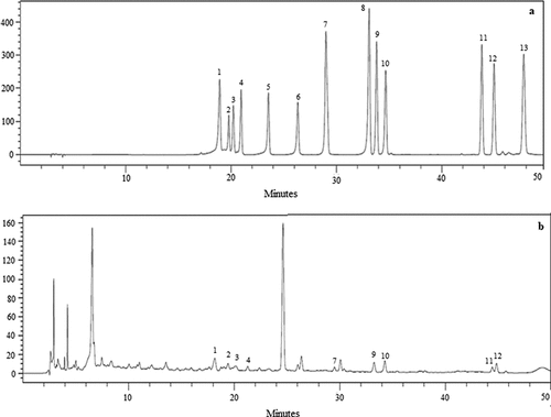 Figure 3. High-performance liquid chromatography chromatogram of (a) standard flavonoids solution (100 μg/mL), (b) manuka honey: 1. Hesperitin, 2. Naringin, 3. Hesperidin, 4. Quercitrin, 5. Myricetin, 6. Morin, 7. Luteolin + Quercetin 8. Naringenin, 9. Apigenin, 10.Kaempferol, 11. Chrysin, 12. Galangin, 13.Tangeretin