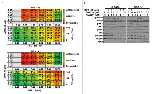 Figure 4. BGT226 and AEW541 act synergistically to block PI3K/mTOR signaling and IGF1R activation in vitro. A, Combination index (CI) values (top) were calculated using CompuSyn software, and drug effect percentages ([1 – relative cell proliferation] × 100%; bottom) were obtained for undifferentiated pleomorphic sarcoma (UPS) cell lines UPS-186 and RIS-819.1 using MTS results in triplicate. B, Effects on IGF1R and effector molecules of PI3K/mTOR signaling in the same cells were determined by western blot analysis following co-treatment with AEW541 and BGT226 and subsequent stimulation with recombinant IGF1.