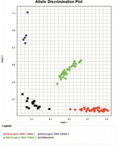 Figure 4. The genotyping scatterplot of FOXP3 SNP rs5902434. SNP: single nucleotide polymorphism. Red: −/−, green: -/ATT, blue: ATT/ATT, black: negative control.