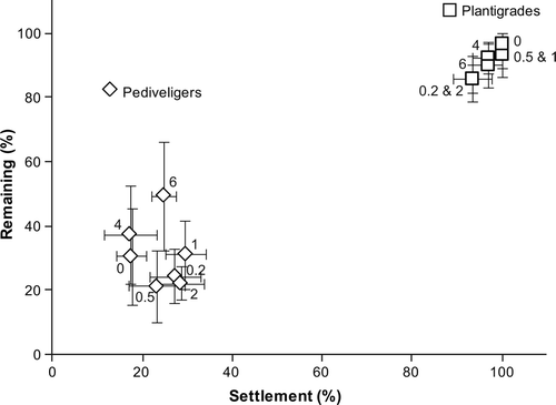 Figure 8. Correlation between initial settlement (%) and remaining (%) plantigrades and pediveligers of M. galloprovincialis on PDMS containing CNTs (0.2, 0.5, 1, 2, 4, 6 wt%) after being exposed to a water flow of 4 knots for 2 min. The percentages of remaining pediveligers and plantigrades are based on the settlement on test surfaces. Means ± SE are shown (n = 6).