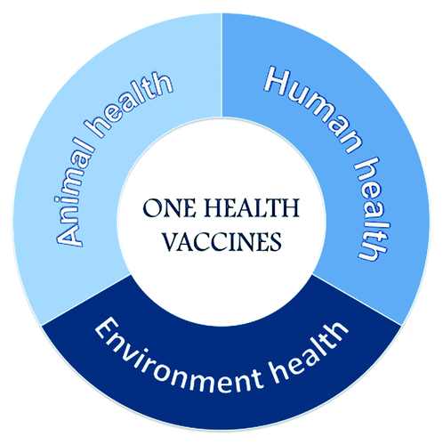 Figure 1. One Health Vaccines. Improvement of health at the human-animal-ecosystems interface.