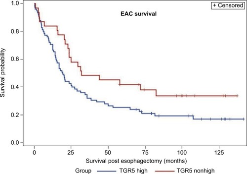 Figure 3 Association between TGR5 high expression and overall survival of esophageal adenocarcinoma patients.