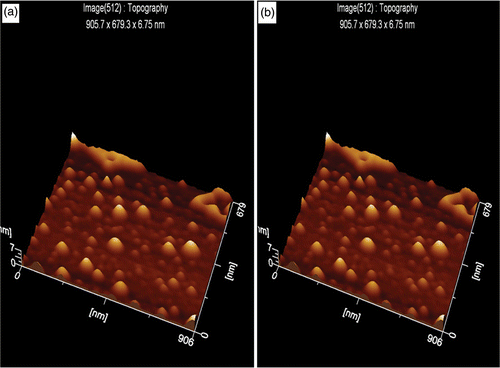 Figure 5. (a) Representation of the topographic image of gold nano particles functionalised with citrate and (b) representation of the topographic image of gold nano particles functionalised with PEI.