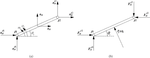 Figure 2. Free body diagram of an arbitrary link 'i ’ of the chain, (a) kinematics and (b) forces.