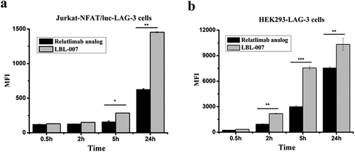 Figure 2. Efficacy of LBL-007 endocytosis into cells.(A, B) LBL-007 and relatlimab analog were conjugated with pHAb Reactive Dye. When antibody-pHAb conjugates track through the endosome or lysosomal system, pH sensor dye will become fluorescent, which is detected by flow cytometry. Endocytosis of the antibody was determined using Jurkat-NFAT-LAG-3 and HEK293-LAG-3 cells. Mean fluorescent intensity is showed as means ± SD on triplicates. *P < .05, **P < .01, and ***P < .001 by Student’s t-test.