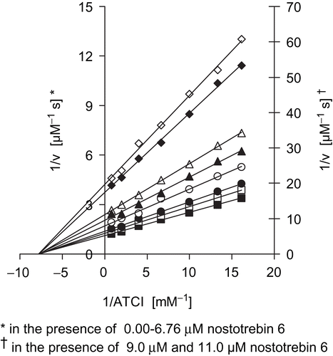 Figure 3.  Lineweaver–Burk plot of AChE activity in the absence (▪) and in the presence of nostotrebin 6 at different concentrations: 2.25 μM (□), 3.38 μM (•), 4.50 μM (○), 5.64 μM (▴), 6.76 μM (▵), 9.00 μM (♦), and 11.00 μM (◊).