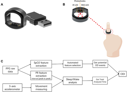 Figure 1 Circul and its working principle. (A) Circul and the accessory charger. (B) An example of Circul ring which uses the reflective SpO2 measuring method with embedded red and infra-red (IR) PPG. (C) Schematic diagram of the oxygen desaturation events detection and ODI calculation algorithm in the Circul.