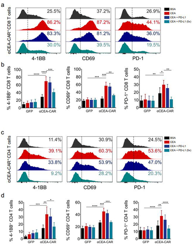 Figure 2. CEA-specific activation of CAR-T cells.