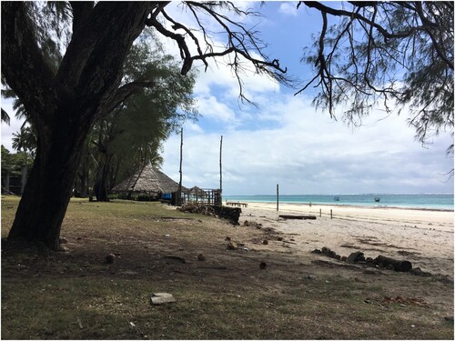 Figure 2. View from the Two Fishes Hotel ruin onto Diani Beach, Kenya. Photo by the author, September 2019.
