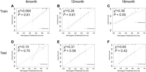 Figure 6 Calibration curves to evaluate the performance of the nomogram in 6-, 12- and 18-month survival rates in the training (A–C) and test (D–F) cohorts.