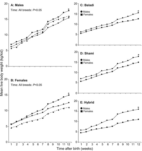 Figure 1. Time course changes in mean live body weight (kg/kid) of males and females of three goat breeds. Baladi (n = 56; 28 males and 28 females, ●, solid line), Shami (n = 47; 27 males and 20 females, ▪, solid line), and Hybrid (n = 25; 12 males and 13 females, ▴, dashed line). *: Indicates significant differences among the three breeds at P < 0.05 (one-factor ANOVA) or significant differences between males and females within the same goat breed at P < 0.05 (t-test).