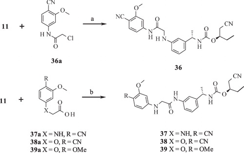 Scheme 3. Syntheses of compounds 36–39. Reagents and conditions: (a) KI (cat.), AcCN, RT; (b) HATU, DIPEA, THF, RT.