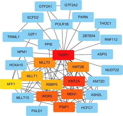 Figure 10 Analysis of TASP1 related proteins based on PPI network (STRING).
