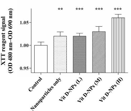 Figure 3 The cell viability assay of primary mesothelial cells treated with different concentrations of vit. D-NPs as analyzed via an XTT assay. Primary human peritoneal mesothelial cells were incubated with PBS, free vitamin D, or vit. D-NPs at different concentrations (L: 0.5, M: 1, H: 2μM). The XTT assay shows that the vitamin D nano-DDS were non-toxic to primary human peritoneal MCs. Data are represented as means ± SD (mean ± SD, n=6; **P<0.01, ***P<0.001, compared with the control group).