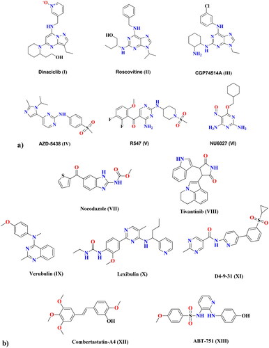 Figure 1. (a) Cyclin-dependent kinase 1 (CDK1) inhibitors. (b) Anti-microtubule and CBSI drugs.