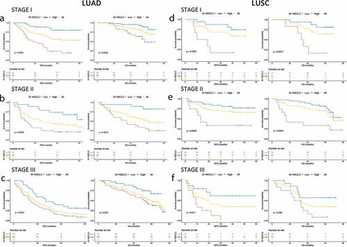 Figure 3. Kaplan–Meier survival analysis stratified by the TNM stages. Kaplan–Meier survival analysis of DFS and OS for all the NSCLC patients according to the ISNSCLC stratified by the TNM stages. P-values were calculated by the log-rank test. (a) Stage I LUAD. (b) Stage I LUSC. (c) Stage II LUAD. (d) Stage II LUSC. (e) Stage III LUAD. (f) Stage III LUSC.