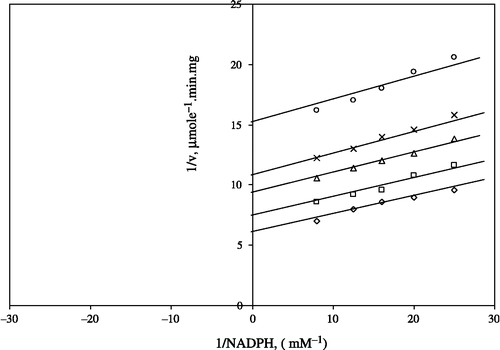 Figure 6 Lineweaver-Burk double reciprocal plot of initial velocity against NADPH as varied substrate and NiSO4 (0.1–0.4 mM) as inhibitor at different fixed GSSG (0.7 mM) concentrations. ⋄ 0.7 mM GSSG (constant); □ 0.1 mM NiSO4; Δ 0.2 mM NiSO4; *0.3 mM NiSO4; ○ 0.4 mM NiSO4.