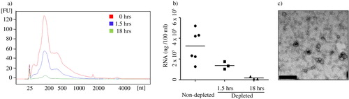 Fig. 4.  Analysis of FBS vesicles depletion protocols. EV-depleted FBS was obtained from 1.5 and 18 hours of ultracentrifugation and was used to prepare complete media (10% FBS). The media was never in contact with cells, but used to isolate exosomes from. The RNA was extracted from the 120,000×g pellet and the concentration and nucleotide size was determined by a Bioanalyzer and the Pico chip. a) Data represent the overlay of RNA profile concentration of bovine RNA retained in complete media supernatant and pelleted during exosome isolation. b) Efficiency of exosome depletion with different centrifugation period is compared based on total RNA content in their exosome preparation in complete media. Results represent mean±SEM of sample obtained from 3–6 independent experiments. c) Presence of vesicular structures was determined by transmission electron microscopy. Vesicles are from the pellet preparation from EV-depleted FBS after 18 hours of ultracentrifugation (Bar represents 200 nm).