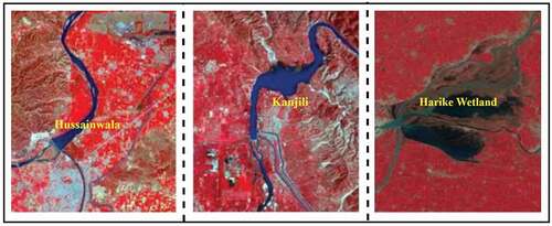 Figure 3. Different wetlands selected for the proposed study.