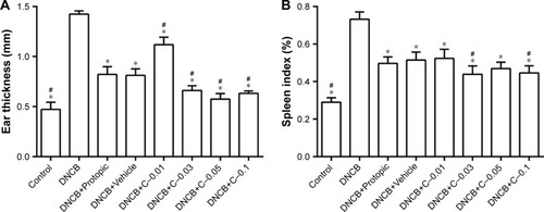 Figure 5 The ear thickness (A) and spleen index (B) on day 29 of mice treated with different formulations.Notes: Each bar represented the mean ± SD of six determinations. Significant differences were calculated using ANOVA test. *P<0.05 in comparison with DNCB group; #P<0.05 in comparison with the DNCB+Protopic group.Abbreviations: C–0.01, FK506–NIC-CS-NPs containing 20% (w/v) NIC and 0.01% (w/v) FK506; C–0.03, FK506–NIC-CS-NPs containing 20% (w/v) NIC and 0.03% (w/v) FK506; C–0.05, FK506–NIC-CS-NPs containing 20% (w/v) NIC and 0.05% (w/v) FK506; C–0.1, FK506–NIC-CS-NPs containing 20% (w/v) NIC and 0.1% (w/v) FK506; DNCB, 1-chloro-2,4-dinitrobenzene; FK506, tacrolimus; FK506–NIC-CS-NPs, tacrolimus-loaded chitosan nanoparticles containing nicotinamide; NIC, nicotinamide.