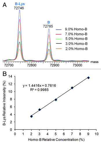Figure 8. Deconvoluted mass spectra from the half-antibody charge envelope and half-antibody intensity response curves for Hetero-AB mixed with varying amounts of Homo-B. (A) Overlaid half-antibody spectra for Hetero-AB containing Homo-B. (B) Plot of B-Lys intensity relative to the sum of B-Lys and AB-2Lys vs. Homo-B relative concentration.