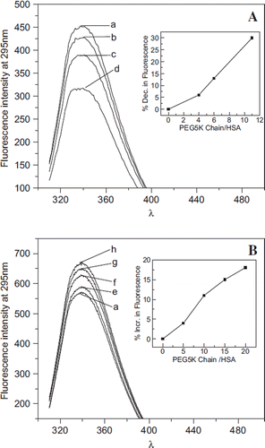 Figure 4. Influence of conjugated and free PEG5K chains on the Trp fluorescence of albumin. A: Fluorescence spectra of EAF PEGylated albumin. Curves a to d represent the fluorescence of HSA conjugated with 0, 3, 6, and 10 copies of PEG5K chains, respectively, in PBS at pH 7.4. The inset in A shows the % quenching (decrease) in the fluorescence of albumin as a function of number of PEG5K chains conjugated. B: Fluorescence spectra of albumin in the presence of free monomethoxy PEG 5K. Curves a, e to h in B represent the fluorescence of HSA in the presence of 0, 5, 10, 15, and 20 equivalents of free PEG5K chains per HSA in PBS at pH 7.4. Note that free PEG in solution increases the fluorescence of HSA, in a PEG concentration-dependent fashion, whereas the conjugated PEG-chains quench the fluorescence of albumin. The inset shows the % increase in the fluorescence of albumin.
