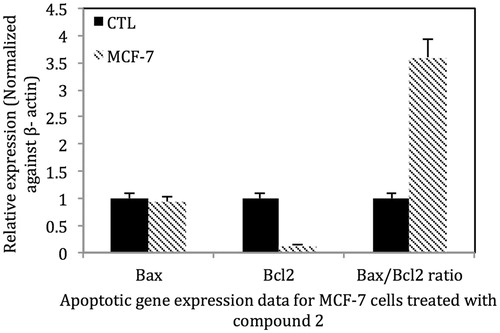 Figure 7. Treatment of MCF-7 (ER+) cells with 2 at the IC50 for 24 h decreased the expression of Bcl-2, the anti-apoptosis gene and increased the Bax/Bcl-2 ratio to ∼3.5 indicating that the extract induces apoptosis in MCF-7 cells via the intrinsic pathway. Control MCF-7 cells were treated with vehicle solvent only. For Bcl2 mRNA p < 0.001 MCF-7 vs. control; for the Bax/Bcl2 ratio p < 0.001 MCF-7 vs. control.