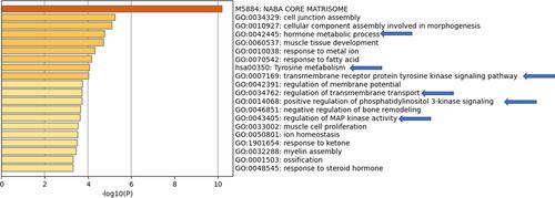 Figure 8 Pathway analysis using Metascape on Ukrainian thyroid cancer samples