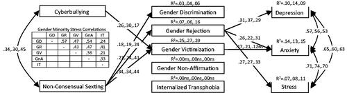 Figure 1. Path Model Used to Conduct Multiple Mediation Analysis (Optimized by Removal of Non-significant Paths) on the Combined Data from Gender Binary and Non-binary Participants, along with a Table Insert Showing Correlations between the Gender Minority Stress Variables Included in the Model. Parameters Included in the Model Are Presented in Triads, Consisting of Values Obtained on the Combined Data (Leftmost Values), on Gender Binary Respondents Only (Middle Values), and Non-binary Respondents Only (Rightmost Values). Model Fit on the Combined Data: χ2(23) = 29.46, p = .166 ns; χ2/df = 1.28; RMSEA = .044, 90% CI [.000, .086]; SRMR = .066; CFI = .99, and TLI = .98, and on the Same Model but with Gender (Binary vs. Non-binary) Included as a Free Parameter: χ2(46) = 62.06, p = .057 ns; χ2/df = 1.35; RMSEA = .052, 90% CI [.000, .083]; SRMR = .074; CFI = .97, and TLI = .93. All Coefficients Significant at p < .05 Unless Indicated by “ns”