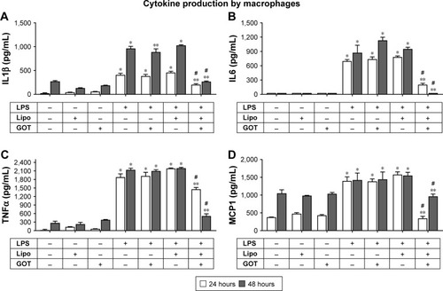 Figure 4 Effect of Lipo/GOT on the production of IL1β, IL6, TNFα, and MCP1 by macrophages.Notes: THP1 cells differentiated with phorbol 12-myristate 13-acetate for 3 days were activated with 100 ng/mL LPS for 24 (white bars) or 48 (gray bars) hours and treated with GOT or Lipo/GOT for 2 hours prior to LPS activation. IL1β (A), IL6 (B), TNFα (C), and MCP1 (D) secretion was determined by enzyme-linked immunosorbent assay. Unstimulated cells served as controls. Cells treated with Lipo or free GOT in the presence or absence of LPS were used as experimental controls. Concentrations of IL1β, IL6, TNFα, and MCP1 given as mean ± SE (n=4). *P<0.05 over control; **P<0.05 over LPS activation; #P<0.05 over LPS + GOT.Abbreviations: GOT, guanosine 5′-O-(2-thiodiphosphate); Lipo, hydrated lipidic film with phosphate buffered saline; Lipo/GOT, GOT-encapsulated liposomes; LPS, lipopolysaccharide.