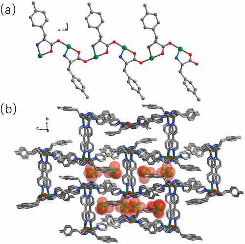 Figure 2. (a) The one-dimensional chain motif established via Cu(II) ions and the ligand of L. (b) The complex 1’s 3D skeleton with the free perchlorate anions filled in the channels