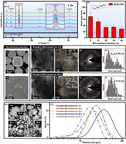 Figure 2. The structure evolution of Zn powders upon different MA durations. (a) XRD patterns of the MA-treated powders, (b) grain size vs. MA duration, (c, d) cross-sectional SEM micrographs of the as-received Zn powders, TEM analysis on the MA-treated powders for 4 h (e-h) and 30 h (i-l), respectively, (m) surface morphologies, and (n) particle size distributions. **p < 0.01, ***p < 0.001.