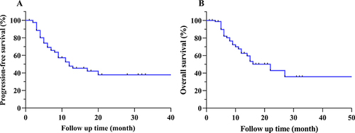 Figure 6 Kaplan-Meier curves of (A) progression-free survival (PFS) and (B) overall survival (OS) in patients with unresectable hepatocellular carcinoma (HCC) following M-TACE.