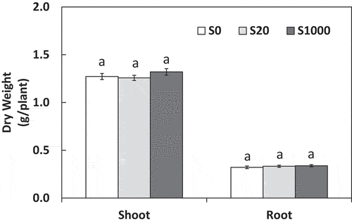 Figure 2. Shoot and root dry weight at 5 weeks after sowing with 0, 20, or 1000 µM S. Each value was mean of 10 biological replicates with standard error. Different letters on bars indicate signiﬁcant differences between S treatments according to Tukey test (P < 0.05)