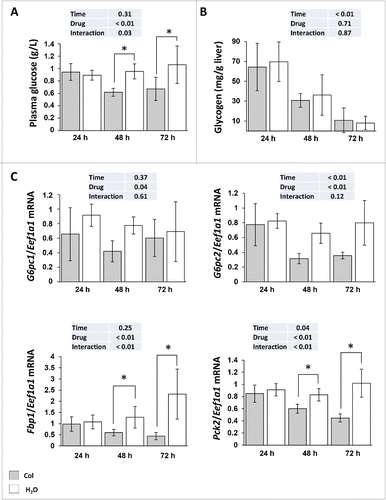 Figure 3. Altered hepatic carbohydrates metabolism in colchicine-treated fish. Trout were treated with water or 0.8 mg/kg/d colchicine for one, 2 or 3 d. (A) Plasma glucose levels (*, P < 0.05; n = 6). (B) Hepatic glycogen levels (*, P < 0.05; n = 6). (C) Hepatic mRNA levels of the gluconeogenesis-related genes G6pc1, G6pc2, Fbp1, and Pck2. Expression values are normalized with Eef1a1-expressed transcripts (*, P < 0.05; n = 6).