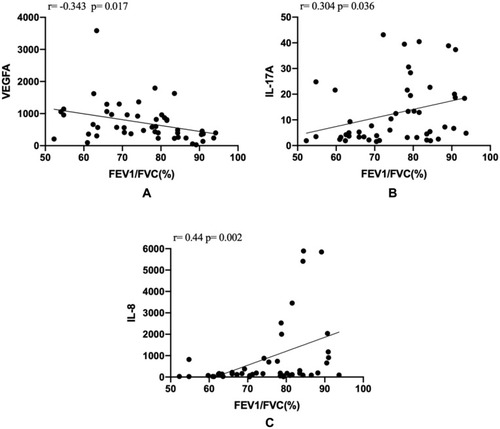 Figure 3 Correlation graphics of groups: (A) Correlation between serum VEGFA and FEV1/FVC (%); (B) correlation between serum IL-17A and FEV1/FVC (%); (C) correlation between serum IL-8 and FEV1/FVC (%).