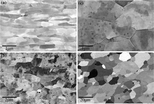 Figure 1. Back-scattered images of the specimens with grain sizes of (a) 0.11 μm, (b) 0.43 μm, (c) 2.0 μm and (d) 9.3 μm. The specimen in (a) is the as-ARB-processed one, while those in (b)–(d) are the annealed ones.