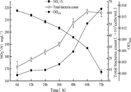 Figure 5. Growth of the enrichment (mean ± SD) in optimum culture conditions.