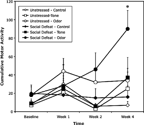 Figure 2  Exposure to a social defeat stressor enhances odor cue-induced locomotor reactivity. Cumulative motor activity (locomotor counts per 10 min; mean+SEM) measured in the absence of stimulation (control) or following cue presentation (tone or odor) prior to social defeat (baseline week) and at weeks 1, 2, and 4 in unstressed controls rats or rats exposed to social defeat prior to the week 1 awakening test (n = 6/group). *p < 0.05 relative to unstressed controls.