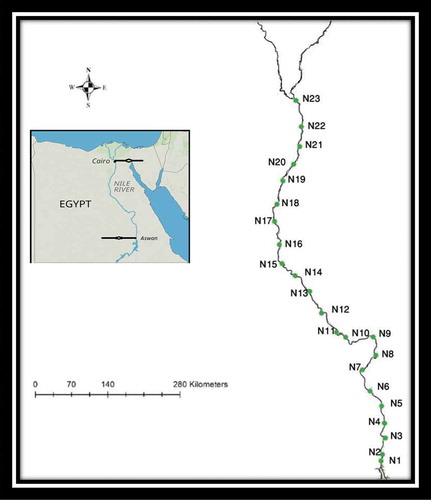 Figure 1. Map showing sampling stations on River Nile.