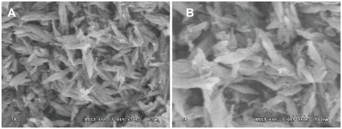 Figure 1 Scanning electron microscope images of wollastonite nanofibers with different magnifications: (A) ×30000 and (B) ×60000.