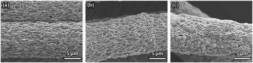 Figure 8. SEM images of (a) VPC7, (b) SiVPC8, and (c) MgSiVPC12 with a highly magnified view.