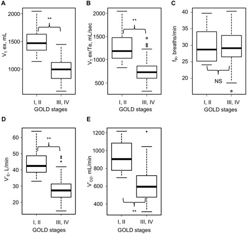 Figure 2 Results of cardiopulmonary exercise testing at peak exercise in the various GOLD stages (stages I–IV) (n=55). (A) Expiratory tidal volume at peak exercise in the various GOLD stages. (B) Mean expiratory flow (VT ex/Te) at peak exercise in the various GOLD stages. (C) Breathing frequency (fR) at peak exercise in the various GOLD stages. (D) Minute ventilation (V’E) at peak exercise in the various GOLD stages. (E) Oxygen uptake (V’O2) at peak exercise in the various GOLD stages. **p<0.01 by the Mann–Whitney U-test.