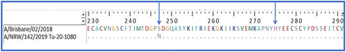 Figure 2 Neuraminidase amino acid sequence alignment of A(H1N1)pdm09 isolate (A/NRW/142/2019) carrying the NA-S247N substitution and of vaccine strain A/Brisbane/02/2018 as wild-type reference.