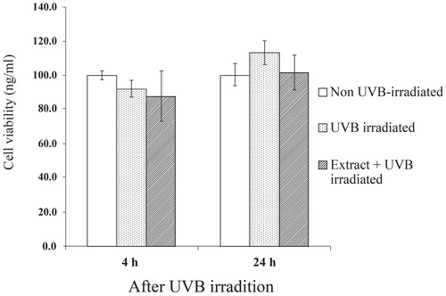 Figure 4. Viability of primary human skin fibroblasts after UVB irradiation for 4 and 24 h. Results are expressed as percentage of cell viability as compared to non-UVB-irradiated group for which the optical density was adjusted to 100%. Each bar represents mean ± SD of triplicate study.