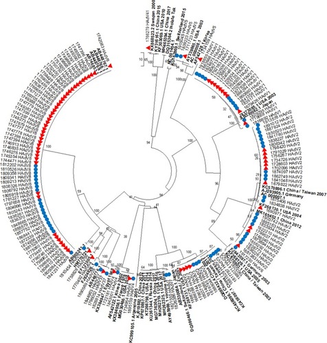 Figure 6 Phylogenetic tree of HAdV genotypes detected among patients of all ages from January 2009 to December 2010. Sequences from years 2009 and 2010 isolates are represented by red triangles and blue circles, respectively. The analysis involved 193 nucleotide sequences (145 HAdV sequences from patients in this study and 48 reference strains). Reference strains are indicated in bold font with their GenBank accession number. The scale bar indicates the number of nucleotide differences per sequence. Percentage bootstrap supports are indicated on each node of the tree.